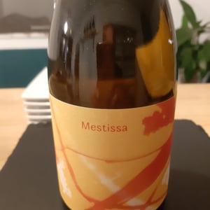 Mestissa - Vinyes que Atrapen - toni-osorio-balbina-garcia -2022