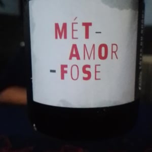Métamorfose - Domaine du Joncier - Marine Roussel 