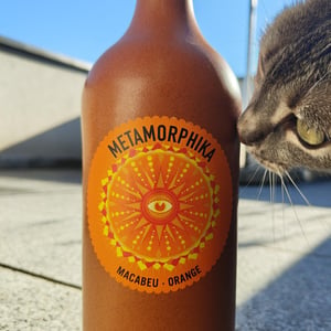 Metamorphika Macabeu Brisat - Costador Terroirs Mediterranis - Joan Franquet 