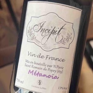Métanoïa - Incipit - Nicolas Pavie - Nicolas Pavie -2020