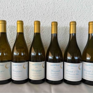 Meursault "Clos du Cromin" - Domaine Bernard-Bonin - Véronique Bonin & Nicolas Bernard -2023