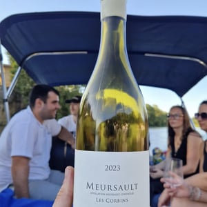 Meursault - Thierry Pillot - Thierry Pillot -2023