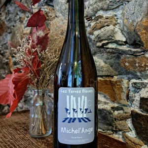 Michel'ange - Les Terres Bleues - Xavière Hardy 