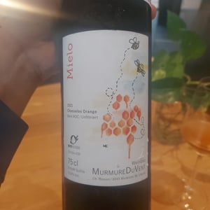 Mielo - Le Murmure - Christoph Riesen & Martina Christe 