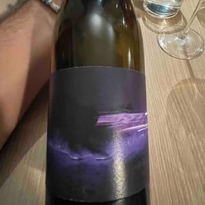 Mildiou Syrah - Les Frères Soulier - guillaume-charles-soulier -2024
