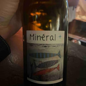 Mineral + - Un Saumon Dans la Loire - Marie Thibault & Frantz Saumon 