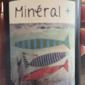 Mineral + - Un Saumon Dans la Loire - marie-thibault-frantz-saumon