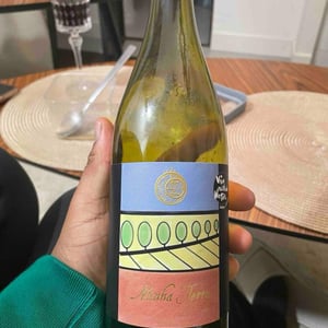 Minha Terra - Domaine Duseigneur - bernard-duseigneur-gabriel-monier