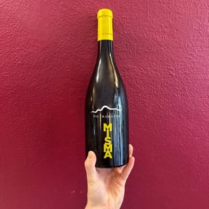 Misma - Pietramatta - Andrea Sala -2023