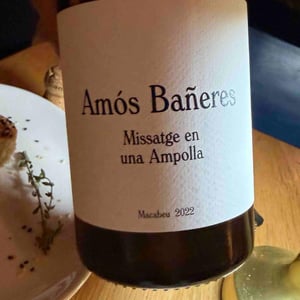 Missatge en una Ampolla - Vinya Oculta - amos-baneres
