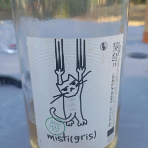 misti(gris) - Le Monde est Petit - arnaud-legros-herve-cormier -2025