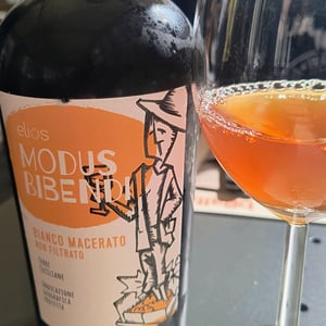 Modus Bibendi Macerato - Elios - Nicola Adamo & Guido Grillo 