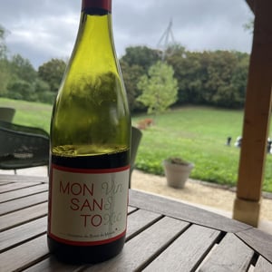 mon vin sans toxic - Domaine Du Bout Du Monde - Véronique Vialard, Olivier et Bulle Candon -2023