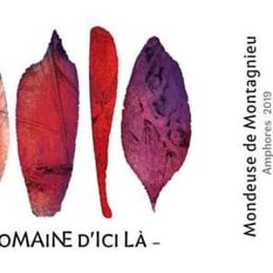 Mondeuse de Montagnieu Amphores - Domaine D'ici là - Adrien Bariol -2019