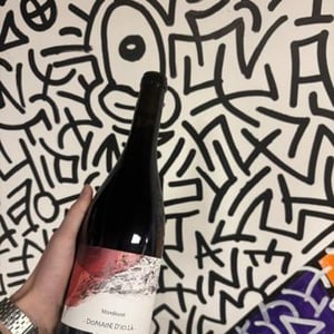 Mondeuse - Domaine D'ici là - adrien-bariol -2022