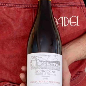 Monopole - Clos Du Moulin Aux Moines [BIO_ORGANIC] - willy-roulendes-famille-andrieu -2023