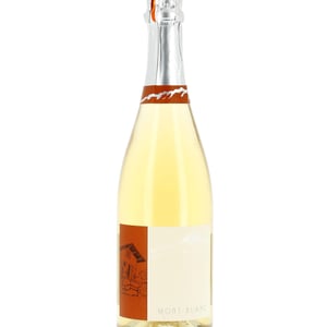 Mont Blanc - Domaine Belluard - dominique-belluard-closed -2019