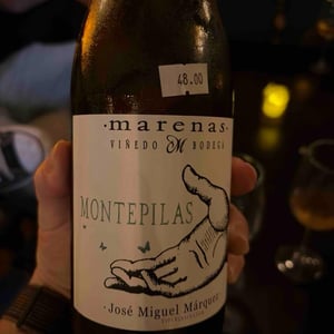 Montepilas - Marenas Viñedo y Bodega - jose-miguel-marquez-herrador