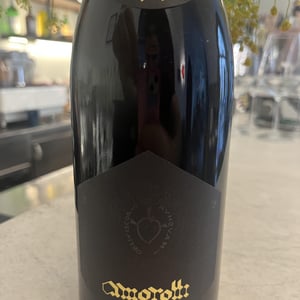 MONTEPULCIANO D'ABRUZZO DOC - AMOROTTI - gaetano-carboni -2020