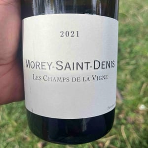 Morey-Saint-Denis 1er Cru "Les Monts Luisants" - Domaine de Chassorney - frederic-cossard