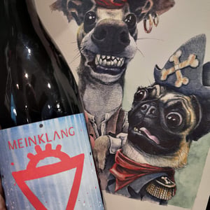 Morgen 2018 - Meinklang - Weingut Michlits - Angela & Werner Michlits -2018