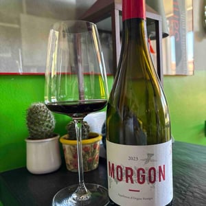Morgon - Thibault Ducroux - Thibault Ducroux -2020