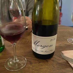 Morgon - Domaine Marcel Lapierre - Mathieu & Camille Lapierre 