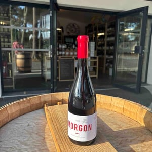 Morgon - Thibault Ducroux - Thibault Ducroux -2020