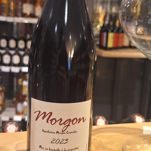 Morgon - Georges Descombes - georges-descombes