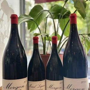 Morgon "Camille" - Domaine Marcel Lapierre - Mathieu & Camille Lapierre 