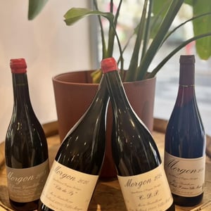Morgon “Côté du Py” - Jean Foillard - Jean Foillard 