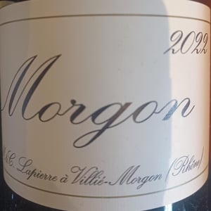 Morgon - Domaine Marcel Lapierre - mathieu-camille-lapierre