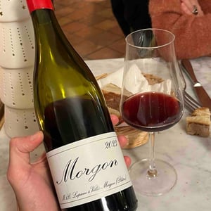Morgon - Domaine Marcel Lapierre - Mathieu & Camille Lapierre 