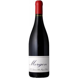 Morgon - Domaine Marcel Lapierre - mathieu-camille-lapierre