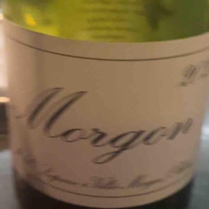 Domaine Marcel Lapierre - Mathieu & Camille Lapierre - Morgon