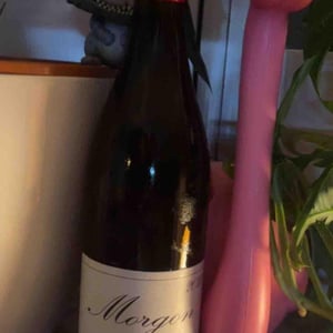 Domaine Marcel Lapierre - Mathieu & Camille Lapierre - Morgon