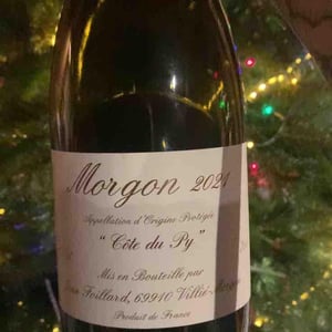 Domaine Marcel Lapierre - Mathieu & Camille Lapierre - Morgon