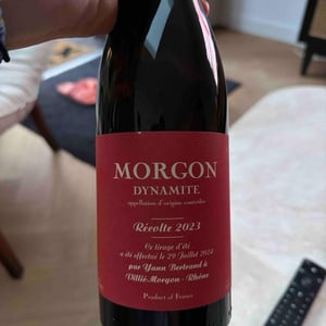 Morgon Dynamite - Les Bertrand - guy-annick-yann-bertrand