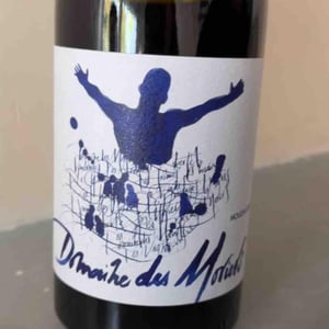 Morgon Les Charmes - Des Moriers - domaine-des-moriers -2020