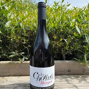 Morgon Les Charmes - Des Moriers - domaine-des-moriers -2020