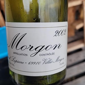 Domaine Marcel Lapierre - Mathieu & Camille Lapierre - Morgon