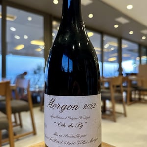 Morgon - Jean Foillard - jean-foillard