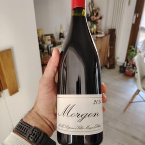 Morgon2021 - Domaine Marcel Lapierre - mathieu-camille-lapierre -2021