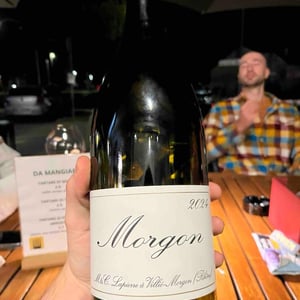 Morgon2021 - Domaine Marcel Lapierre - Mathieu & Camille Lapierre -2021
