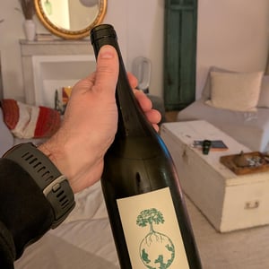 Morillon vom Opok - Weingut Werlitsch - Ewald & Brigitte Tscheppe 