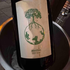 Morillon vom Opok - Weingut Werlitsch - Ewald & Brigitte Tscheppe 