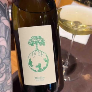 Morillon vom Opok - Weingut Werlitsch - Ewald & Brigitte Tscheppe 