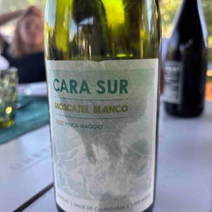 Moscatel Bianco - Cara Sur - cara-sur -2022