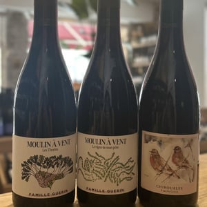 Moulin À Vent - Les Thorins - Famille Guerin - Elisa Guerin Vins - famille-guerin