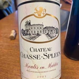 Moulis en medoc - Château Chasse Spleen - chasse-spleen